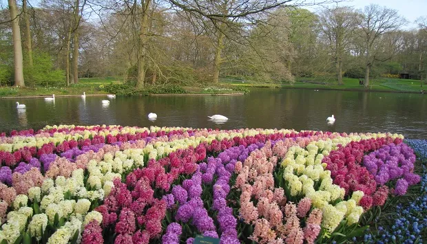 Idées de sorties printanières à Genève