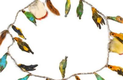 Couronne circulaire d’oiseaux colorés sur fond blanc